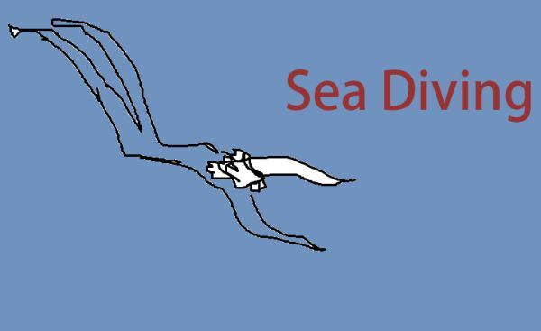 SeeDiving