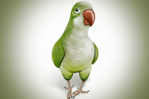 Работа 3460465