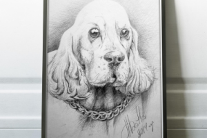 Работа 3460459