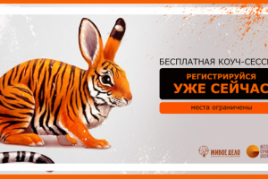 Работа 3460371