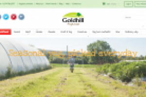 Интернет-магазин на движке PrestaShop