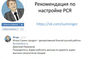 Бонсай комнатное растение