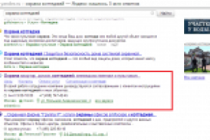 Запрос "охрана коттеджей" – 4 место