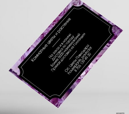 img3395971.png