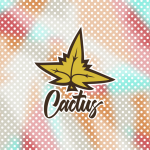 Разработка принтов для коллаборации Cactus X Kostya August