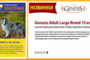 Текст для Интернет-магазина товаров для животных