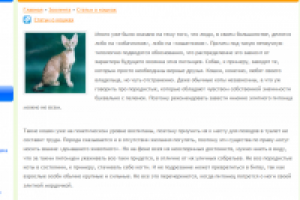 Элитный кошак.