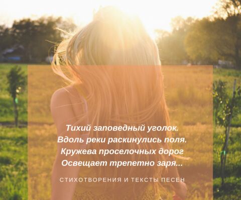 img3420139.png