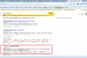 Школа дизайна Рыжий кот