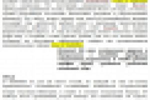 Путешествие в Зимбабве, СЕО