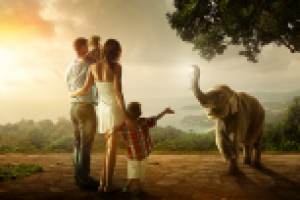 Работа 3126202