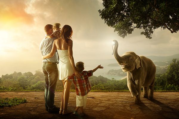 Работа 2609633