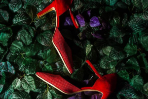 Still Life Каталожная съемка