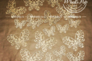 Бабочки от What'spop.ru. Заготовка для рукоделия