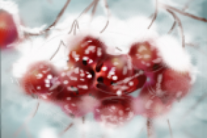 Работа 1395108