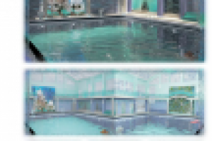 Дизайн общественных интерьеров. Спортивно-оздоровительный компле