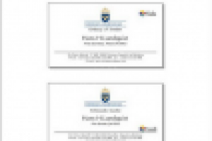 Визитки - Посольство Швейцарии