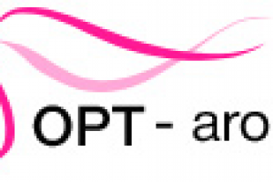 Логотип для интернет-магазина  парфюма