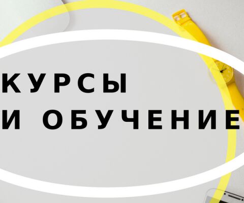 img3449578.png