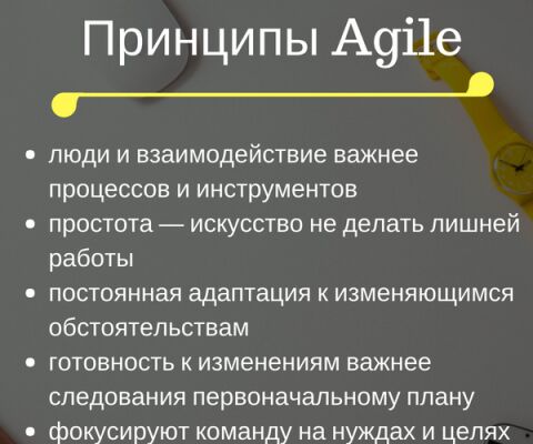 img3449579.png