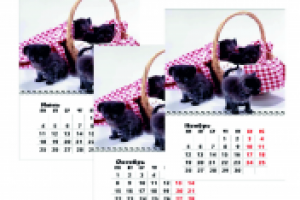 Календарь 2012