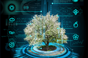 Коллаж с пиктограммами