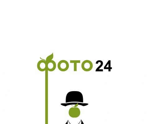 img3225023.png