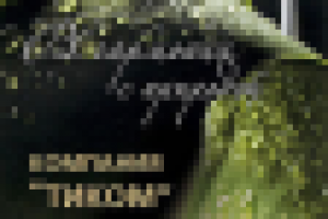 имидж-макет Тиком