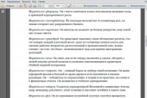 Кто приходит к маленьким маркетологам