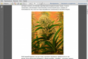 Описания работ самарского художника Ирины Мызгаловой