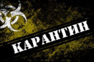 Карантин