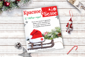 Рекламный модуль в СМИ – Новый Год (санки)