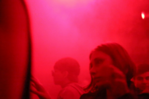 Рабица - Минимум - 2 года