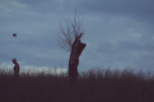 Промо дизайнера Александры Логвиновской