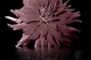 Коллаж - Осенняя печаль