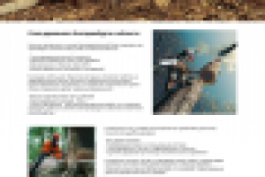 Спил деревьев