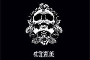 Работа 2426326