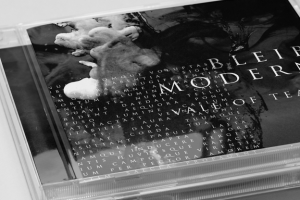 Bleib Modern / CD cover