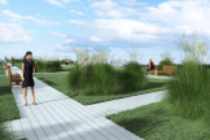 Визуализация проекта по ландшафтному дизайну