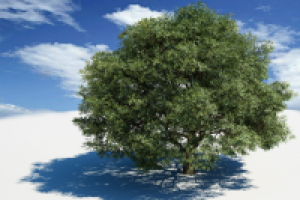 Просто дерево