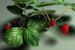 текстурирование