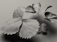 img453958.png