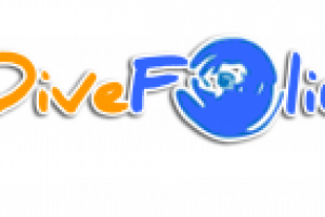 Divefolio logo