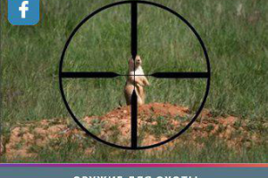 Оружие для Охоты