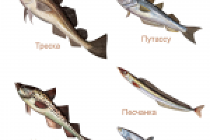 Рыбы для упаковки морепродуктов