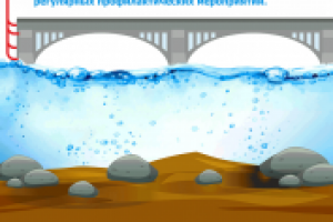 Инфографика мосты vs тоннели