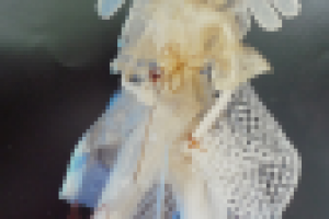 Авторская кукла