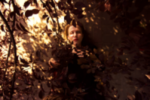 Работа 2773729