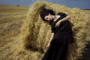 Работа 2773728