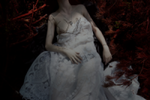 Работа 2773734